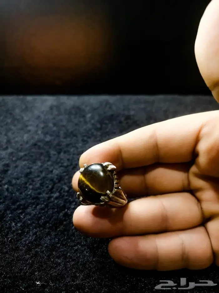 خاتم عين النمر 2