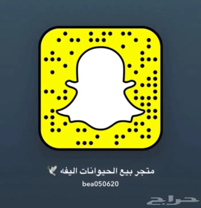قطط طيرر سلاحف اسماك زينه مستلزمات 0