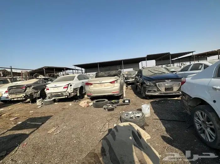 جنسس 2018 G80 مصدومه 8