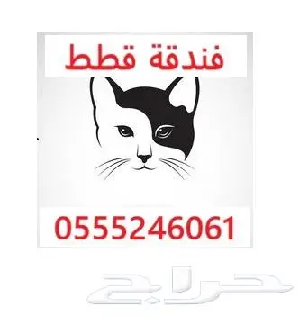 فندقة قطط وطيور - الرياض - حي المصيف 0