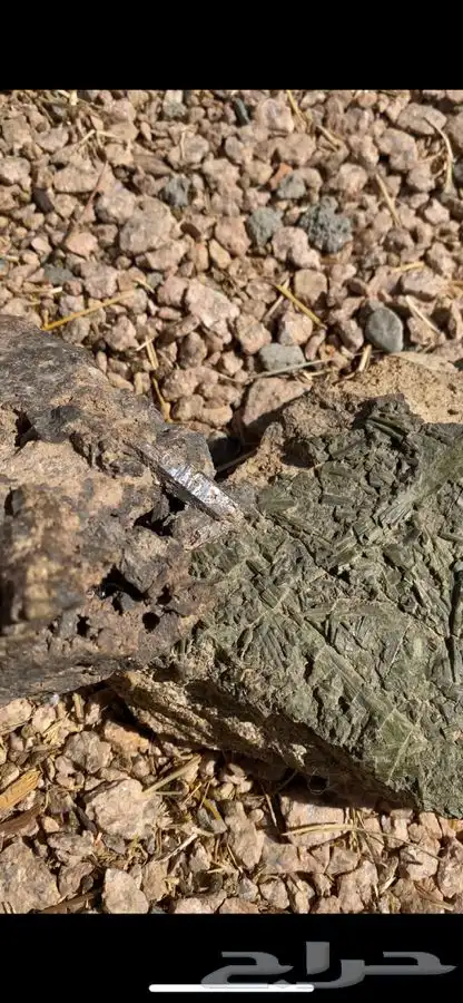 احجار كريمه.. 3