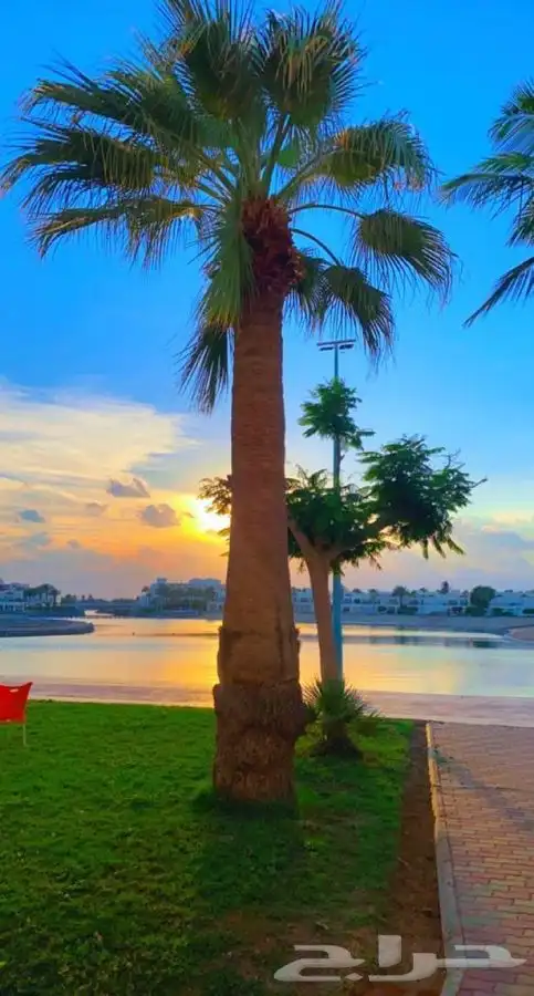 شاليه منتجع درة العروس على البحر مباشرة 1