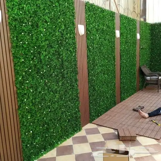 مشتل زراعة 7