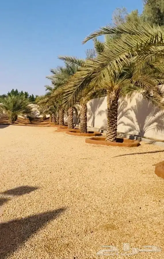 استراحه للبيع في ( جو ) المزاحميه 19