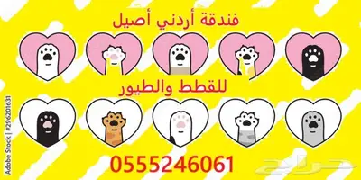 فندقة قطط وطيور - الرياض - حي المصيف 2