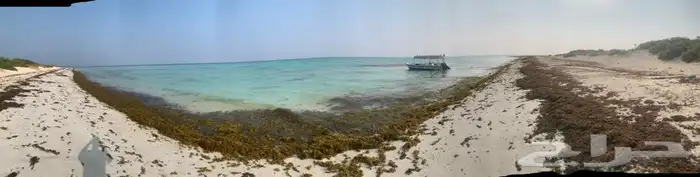 نزهه صيد سباحة جزيرة ماركا غوض سياحه 4