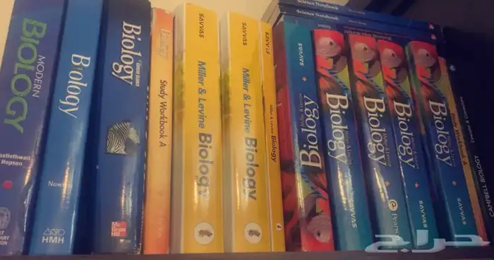 للبيع الكتاب 11
