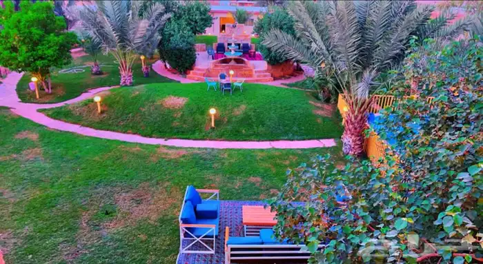 استراحه عبق البيلسان 1