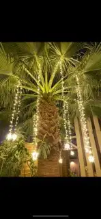 انارة led للتزين  للمحلات والمقاهي والمولات والشاليهات والسك 0