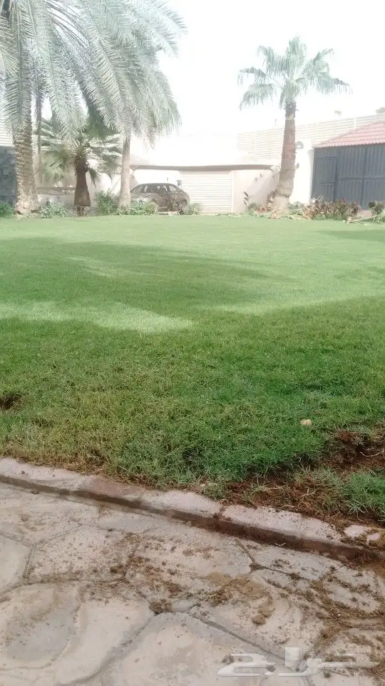 منسقين حدائق 19