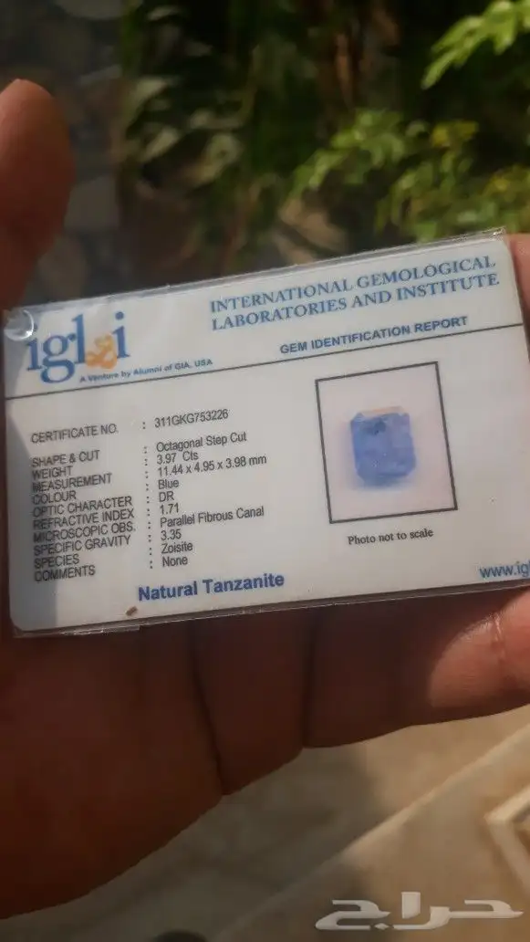 تنزانيا طبيعي غير معالج 3