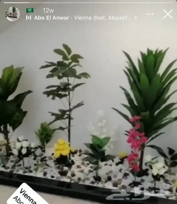 تنسيق حدائق 10