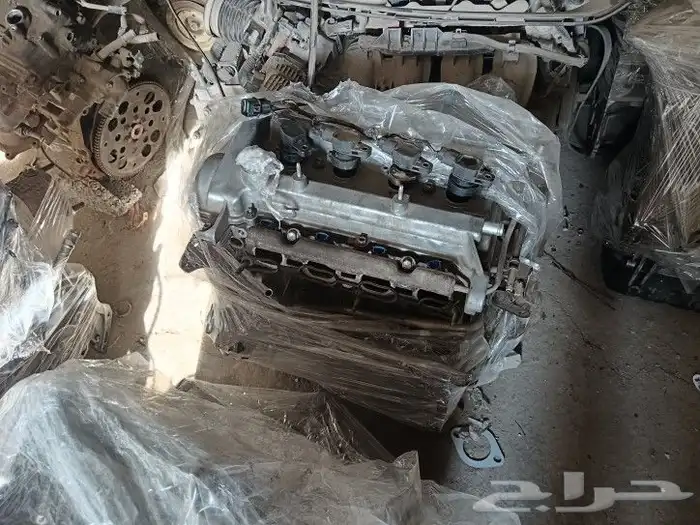 يوجد جميع انواع الكائن 0