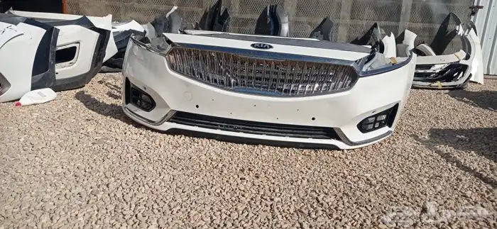 صدام كادينزا 2017-2020 1