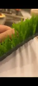 عشب صناعية للمشاريع 3