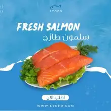 تصاميم بأسعار مناسبة وتسليم سريع 2
