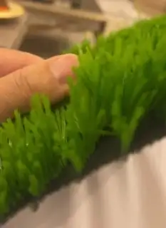 عشب صناعية للمشاريع 1