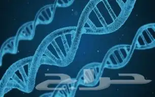 معلم مواد علمية ومتابعه للمرحلة الثانوية والمتوسطة 0