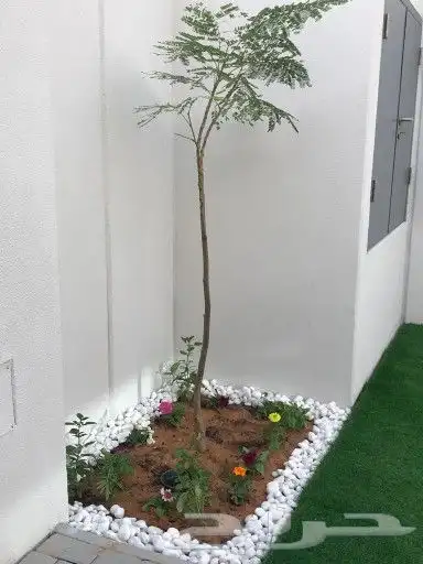 تنسيق الحدائق والشلالات والنوافير والمظلات 20