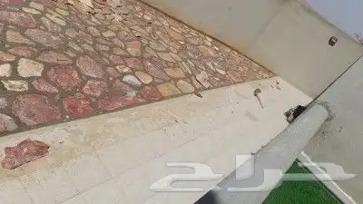 ابهاء الخميس تنومه بلحمر النماص بني عمرو 9