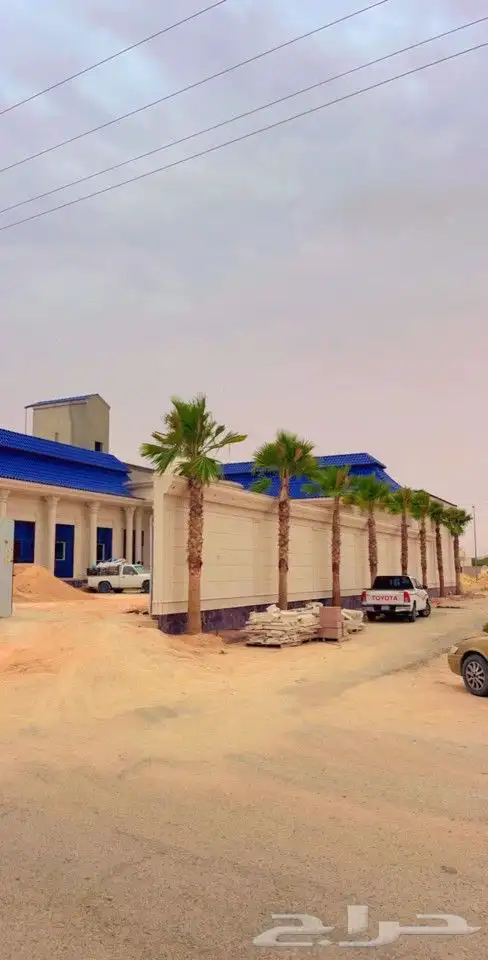 نخل وشنطني 8