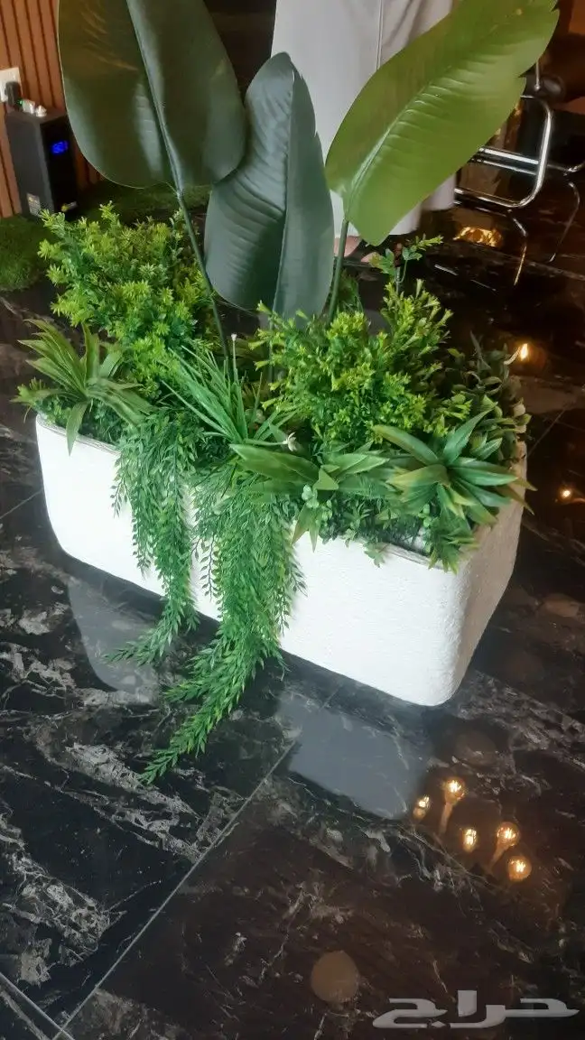 تنسيق الحدائق والشلالات والنوافير والمظلات 3