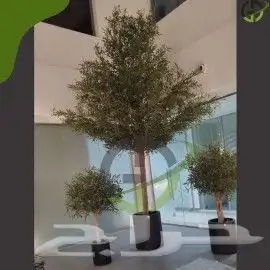 زيتون صناعي 9