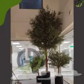 زيتون صناعي 7