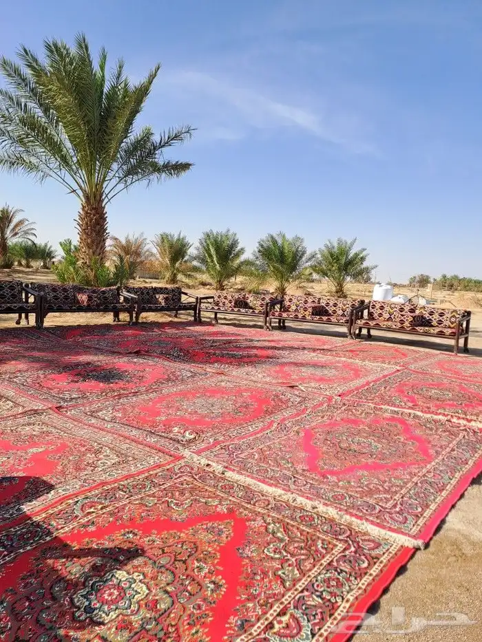 تأجير لوازم المناسبات 19