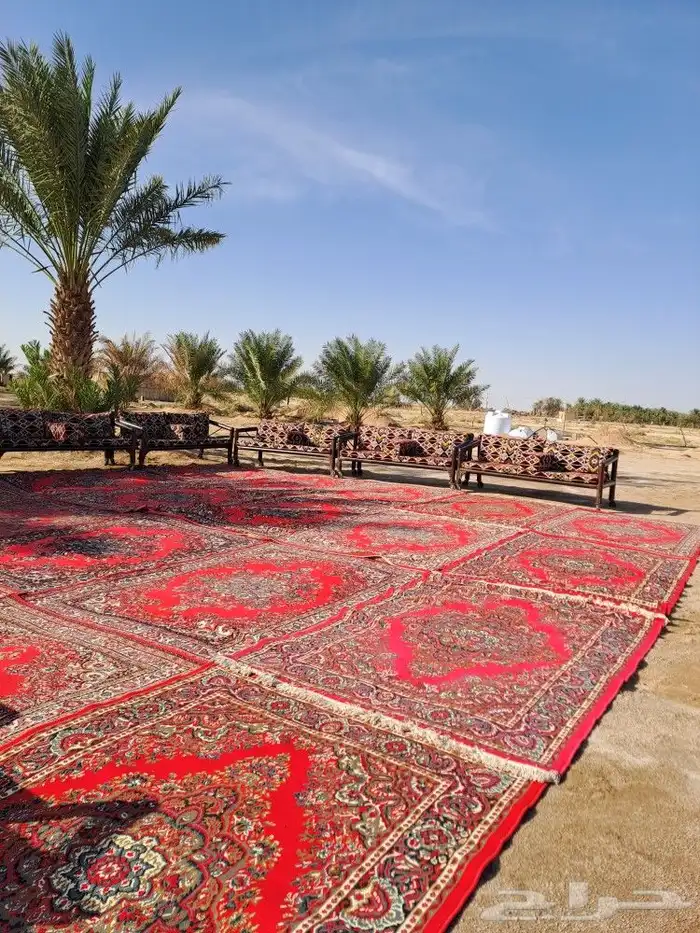 تأجير لوازم المناسبات 16