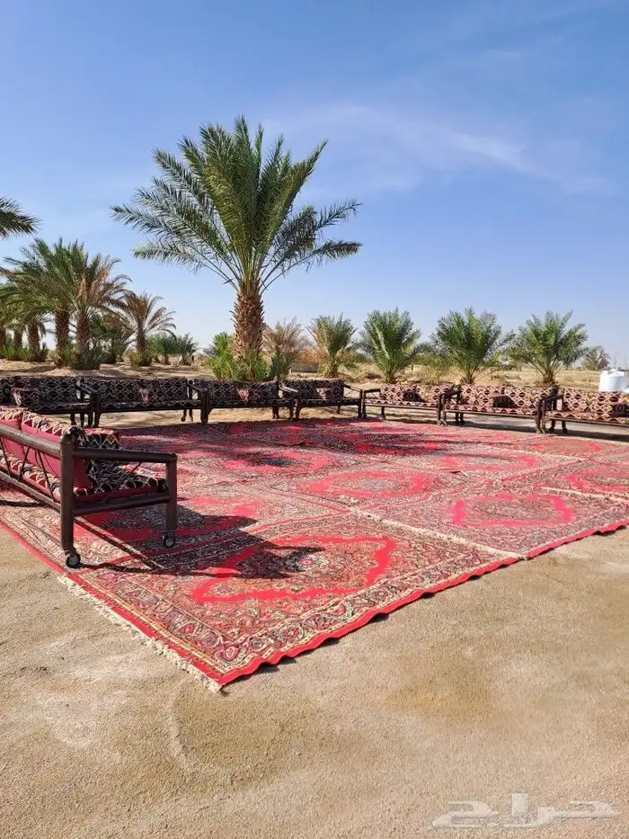 تأجير لوازم المناسبات 17