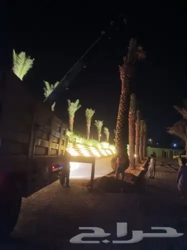 تركيب شبوك 4