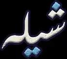 استوديو تعديل شيلات 5