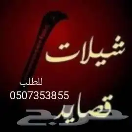 شيلات جنوبيه 3