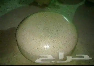 زينة الحدائق العامه والسفتي 23