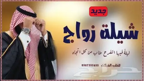 شيلات جنوبيه 0