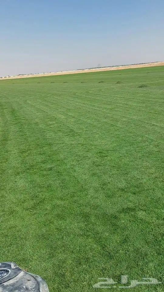 ثيل طبيعي 0