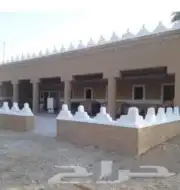 مجالس تراث وحجر وشبوك 2