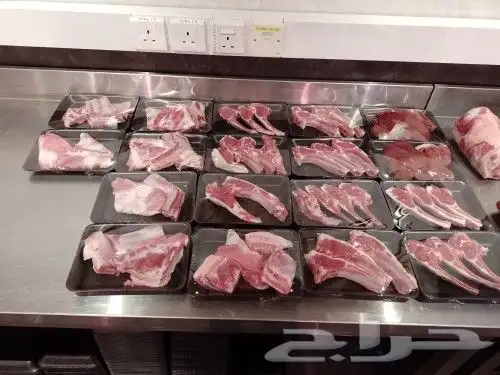 الدمام الخبر وما حولها 45
