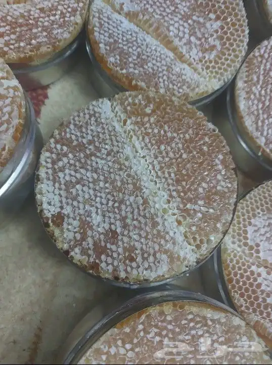 شمع عسل اقراص عسل سدر بلدي درجة اولى 1