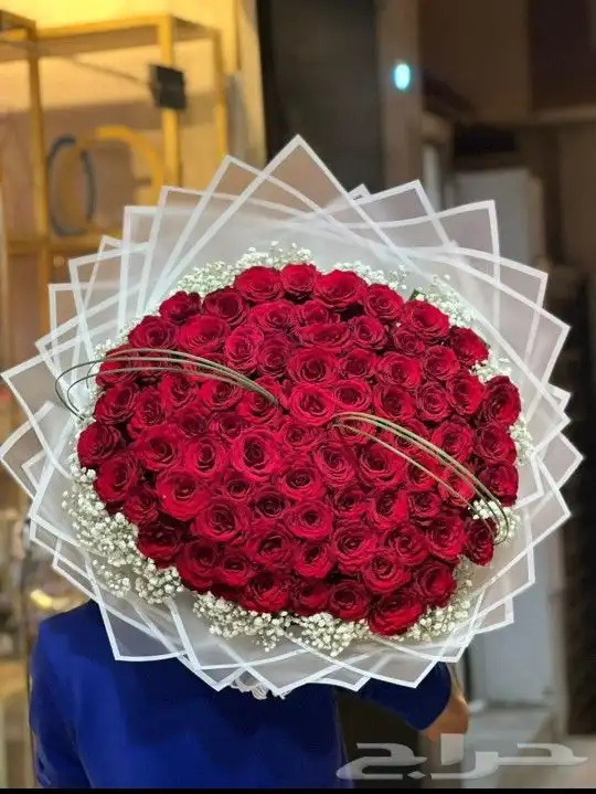 ورد احمر. عيد الحب مندوب تنسيق 20