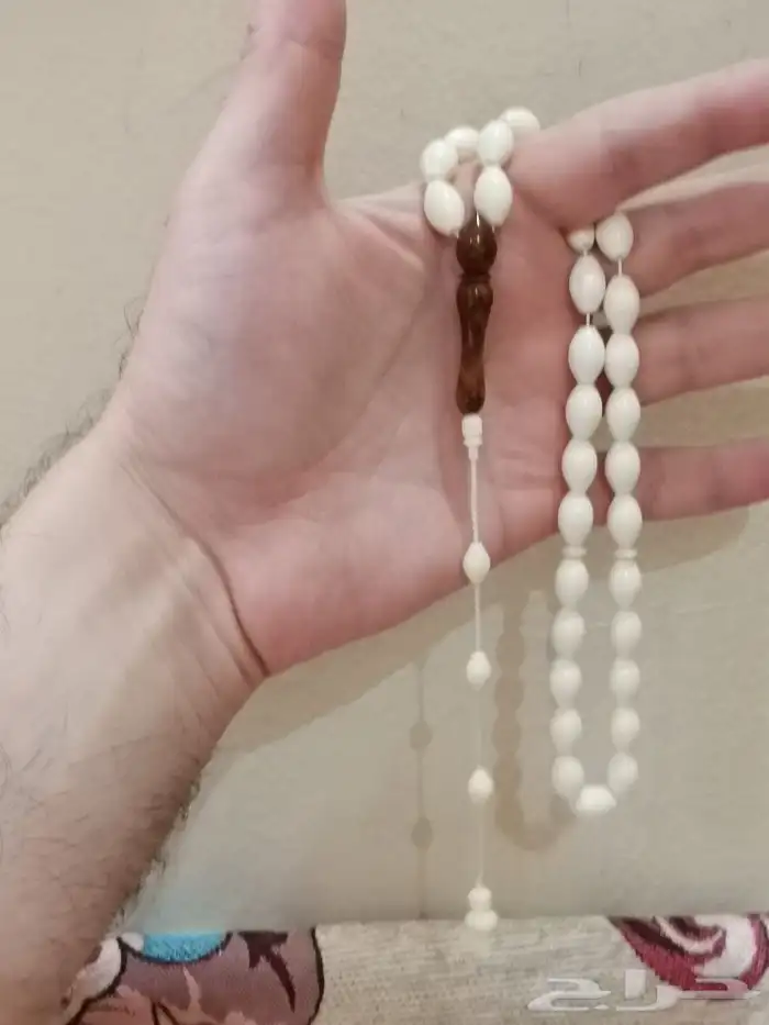 الحق الخصم سبحة عظم جمل طبيعي 4