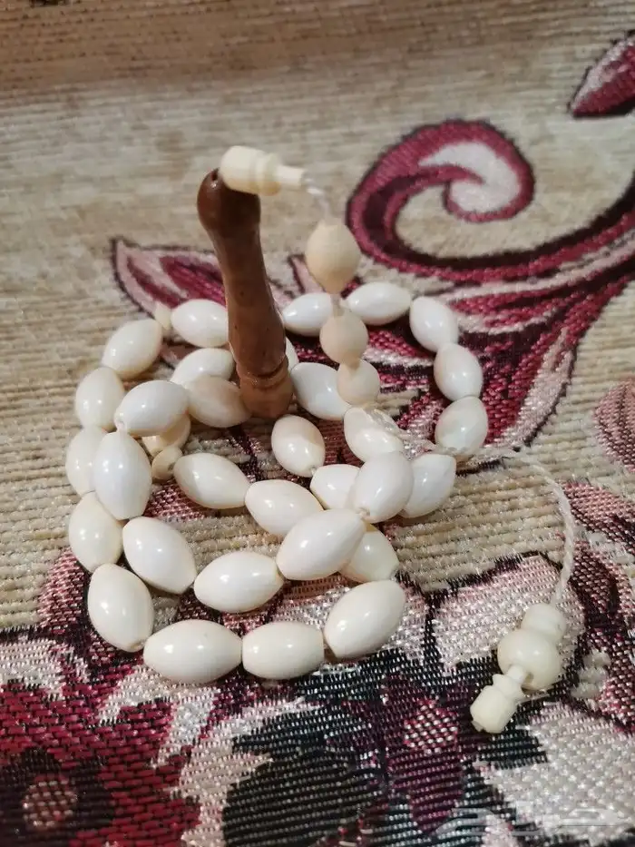 الحق الخصم سبحة عظم جمل طبيعي 2