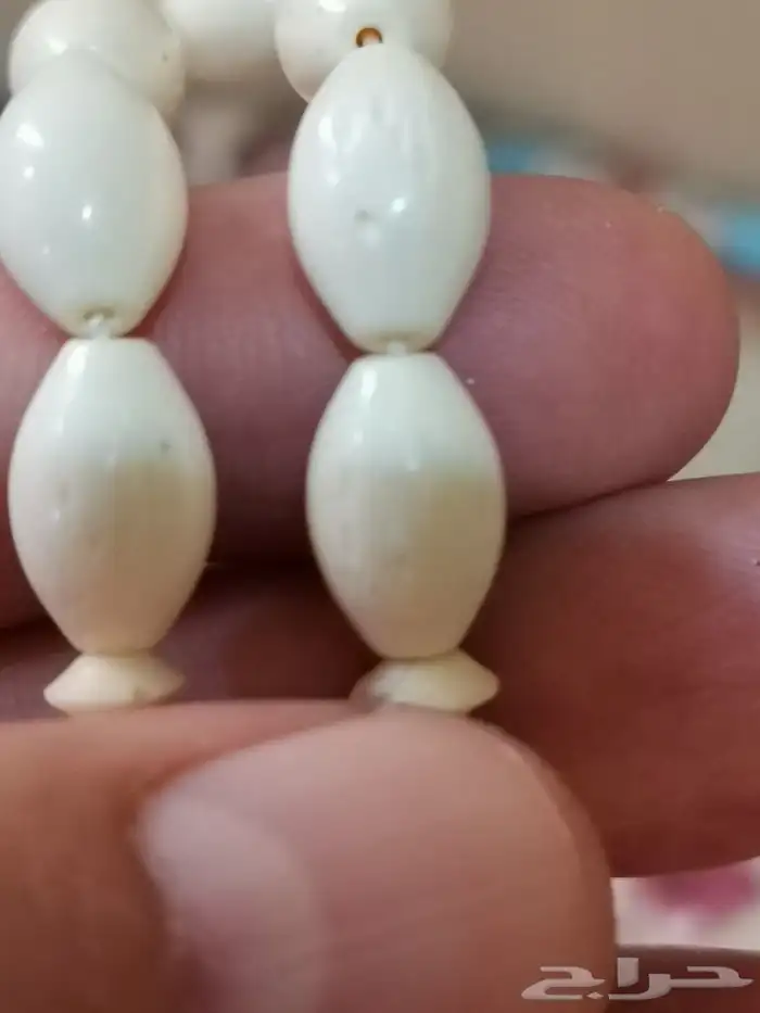 الحق الخصم سبحة عظم جمل طبيعي 6