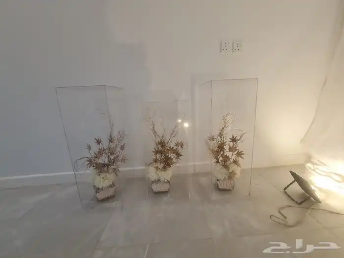 ستاير وكوش الطايف 5