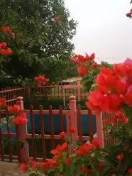 استراحه الرحمانيه العفجه الخرج الرياض الهياثم 0