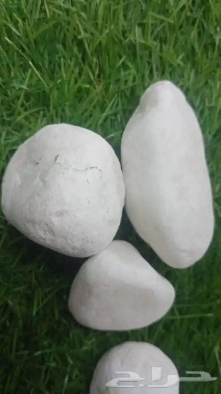 حجر زينه للحدائق 5