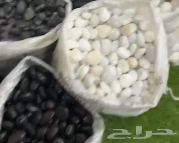 حجر زينه للحدائق 0