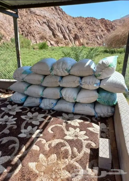 حناء منطقة المدينه مطحون جديد 1