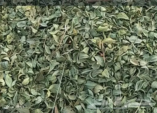 حناء منطقة المدينه مطحون جديد 4